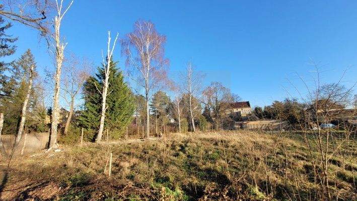 Baugrundstück - Ansicht von der Straße