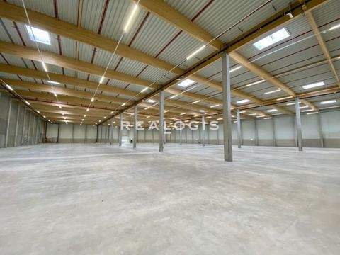 Gifhorn Halle, Gifhorn Hallenfläche