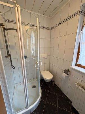 Gäste WC mit Dusche EG