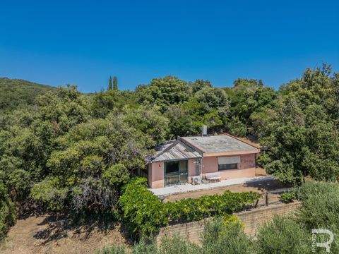 Follonica Häuser, Follonica Haus kaufen