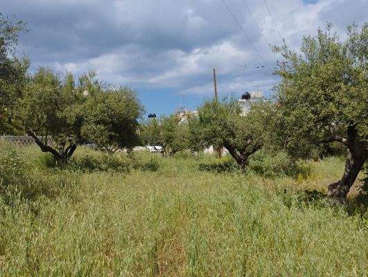 Kreta, Kalyves: Erstaunliches Grundstück im Zentrum von Kalyves zum Verkauf