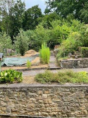 Ausschnitt von Ihrem Garten