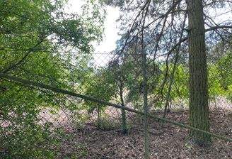 Grundstück