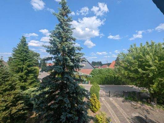 Blick vom Balkon ( vom Schlafzimmer zugänglich) zur Einfahrt