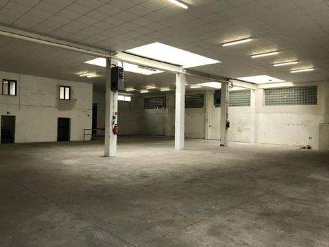 Essen Halle, Essen Hallenfläche