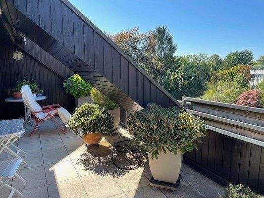 Sonnige Dachterrasse mit Blick zum Stadtpark 4