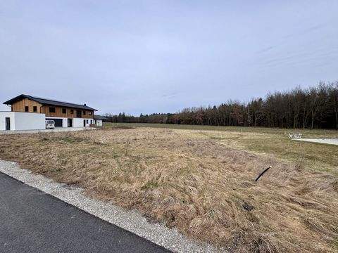 Mining Grundstücke, Mining Grundstück kaufen