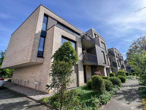 Cloppenburg Wohnungen, Cloppenburg Wohnung mieten