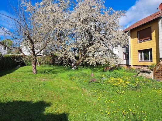 Garten im Süden