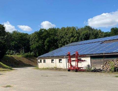 Diera-Zehren Bauernhöfe, Landwirtschaft, Diera-Zehren Forstwirtschaft