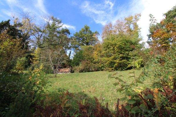 Garten Nord mit Hanglage