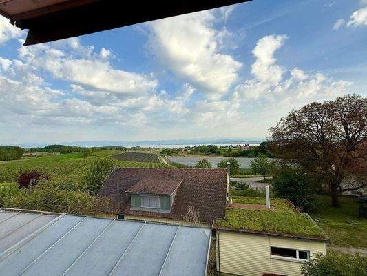 WhatsApp Image 2025-05-03 at 09.41.30 (12).jpeg