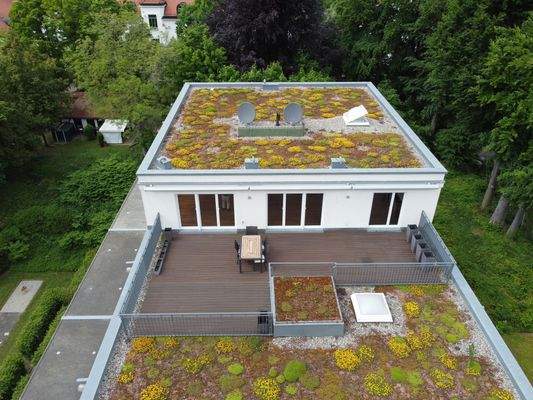 Aufsicht, blühende Begrünung