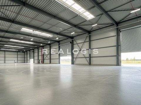 Bruchsal Halle, Bruchsal Hallenfläche