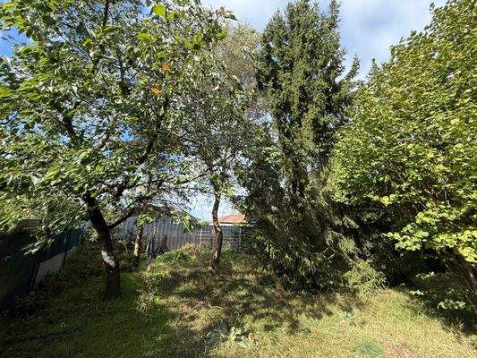 hinterer Gartenbereich