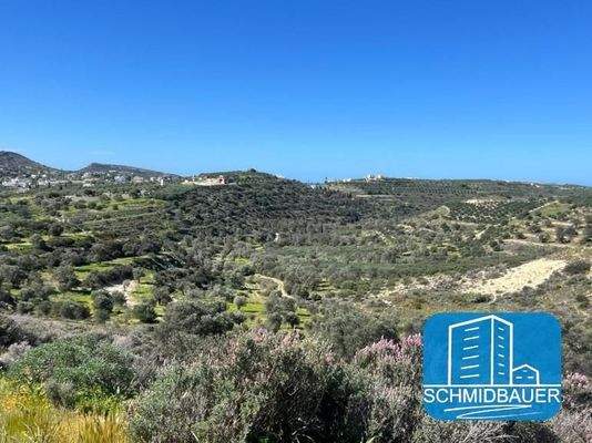 Kreta, Pitsidia: Grundstück am Ortsrand zu verkaufen