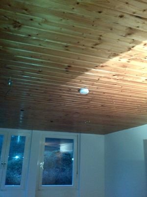 Holzdecke Wohnzimmer