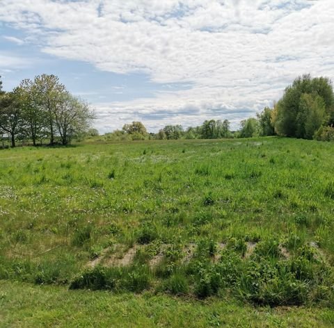 Zarrendorf Grundstücke, Zarrendorf Grundstück kaufen