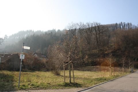 Hausen Grundstücke, Hausen Grundstück kaufen