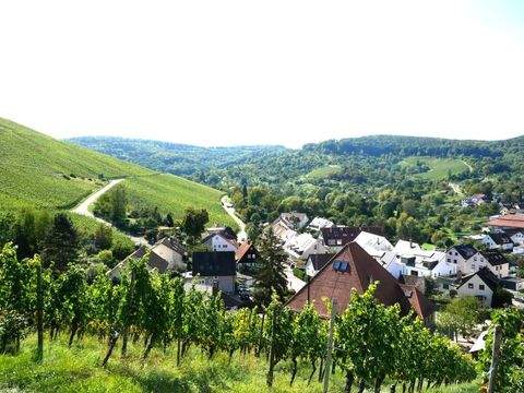 Korb Wohnungen, Korb Wohnung kaufen