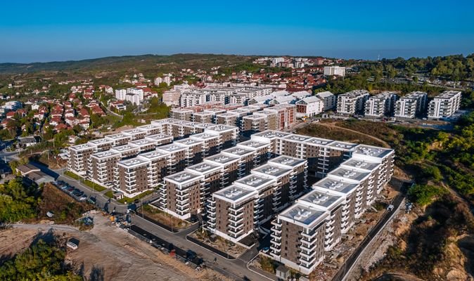 Image_Alex_Dmitrovic_0006