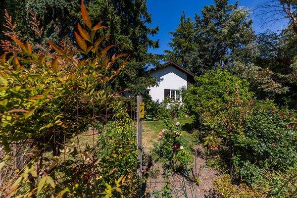 Vorderansicht mit Garten