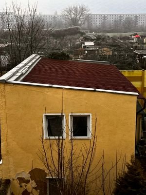 IMG_2936.jpeg