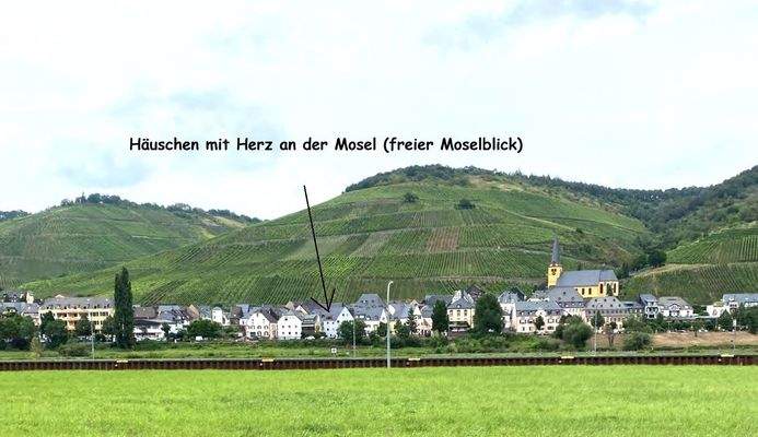 Zeltingen  von der anderen Moselseite 