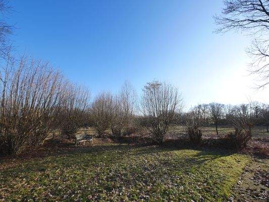 Gartenbereich Eingang