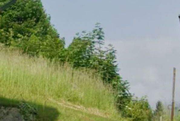 Blick von der Strasse