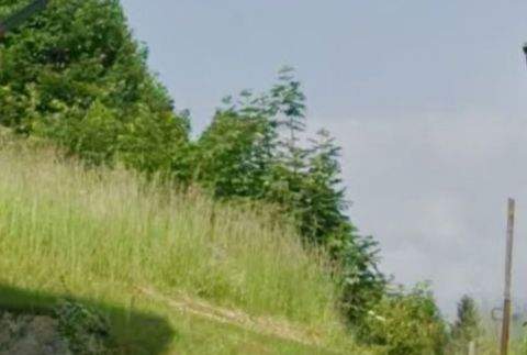 Bad Bleiberg Grundstücke, Bad Bleiberg Grundstück kaufen