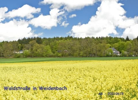 Weidenbach Grundstücke, Weidenbach Grundstück kaufen