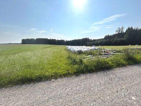 Kirchhaslach / Greimeltshofen Bauernhöfe, Landwirtschaft, Kirchhaslach / Greimeltshofen Forstwirtschaft