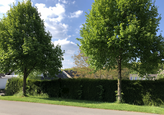 Grundstück Ansicht Top