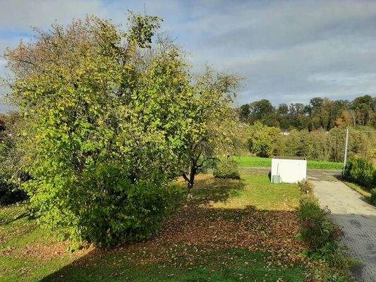 Fleißige zuverlässige Obstbäume. Für den Gemüsegarten ist auch noch genügend Platz.  