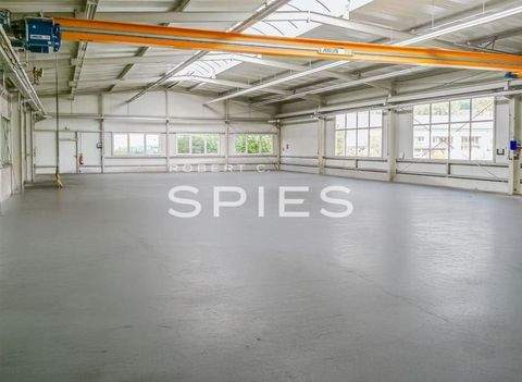 Delmenhorst Halle, Delmenhorst Hallenfläche