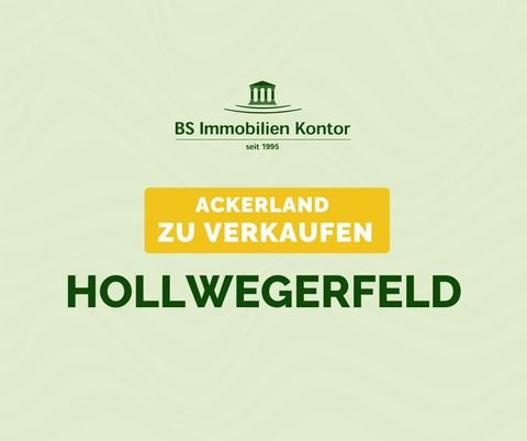 Westerstede / Hollwegerfeld Bauernhöfe, Landwirtschaft, Westerstede / Hollwegerfeld Forstwirtschaft