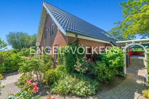 Seiten- / Vorderansicht