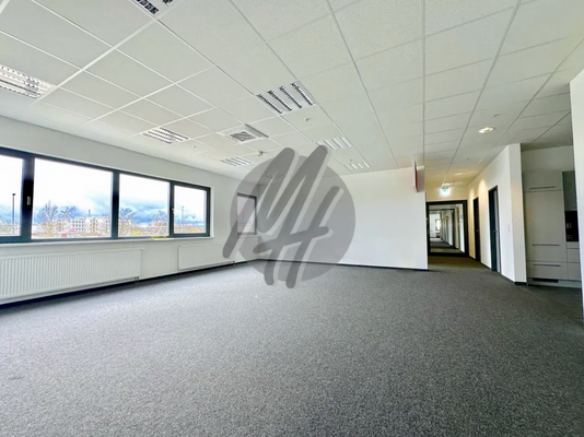 INFOS UNTER: 06171-586000