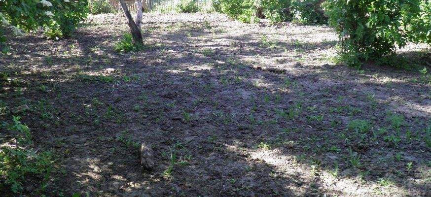 Blick auf Grundstücksfreifläche