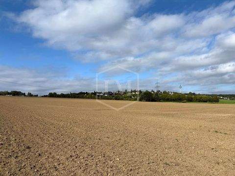 Dortmund Bauernhöfe, Landwirtschaft, Dortmund Forstwirtschaft