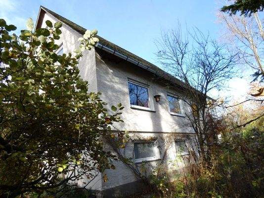 Naturbelassener Garten