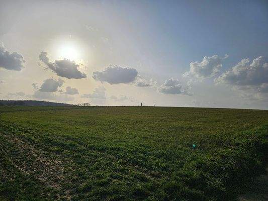 495 - direkt am Feldrand.jpg