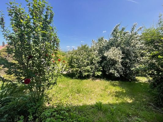 Aussicht Garten UG 