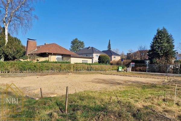 Blick vom hinteren Grundstücksteil 