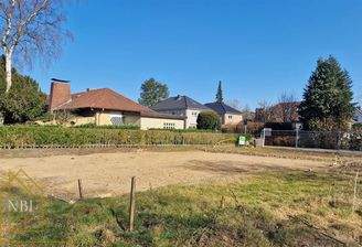 Blick vom hinteren Grundstücksteil 