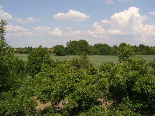 Blick aus dem Küchenfenster