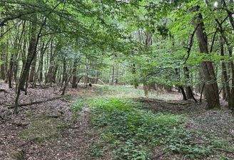 Fl.Nr. 570 - Weg in der ebenen Fläche