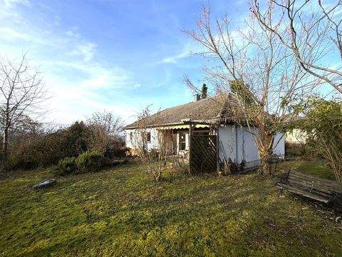 Müllheim Häuser, Müllheim Haus kaufen