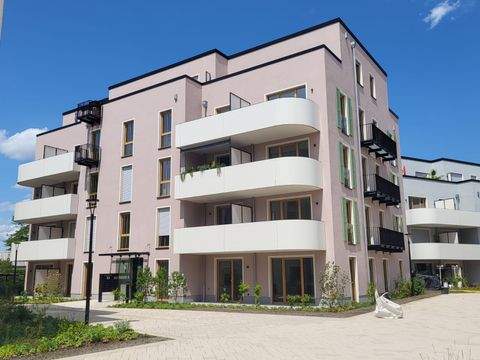 Mühlheim Wohnungen, Mühlheim Wohnung mieten